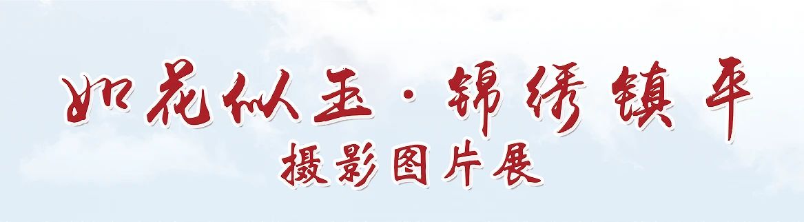 线上展览 | 《如花似玉 锦绣镇平》——庆祝中华人民共和国